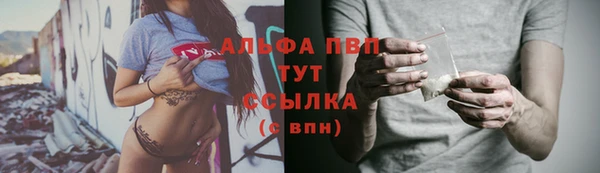 ECSTASY Балахна